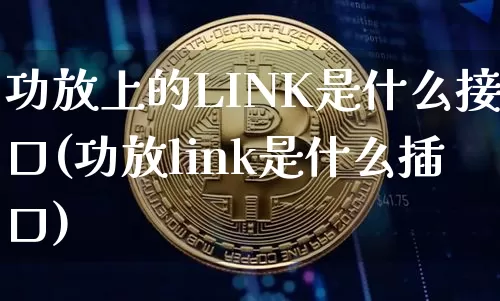 功放上的LINK是什么接口(功放link是什么插口)_https://www.cangshenghg.com_北交所_第1张