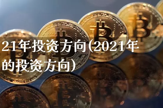 21年投资方向(2021年的投资方向)_https://www.cangshenghg.com_北交所_第1张