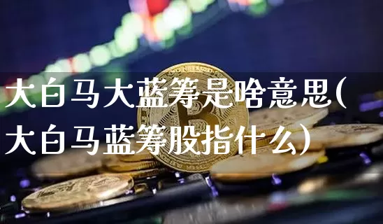 大白马大蓝筹是啥意思(大白马蓝筹股指什么)_https://www.cangshenghg.com_财经新闻_第1张