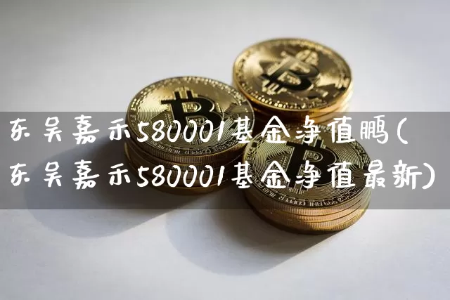 东吴嘉禾580001基金净值鹏(东吴嘉禾580001基金净值最新)_https://www.cangshenghg.com_科创板_第1张