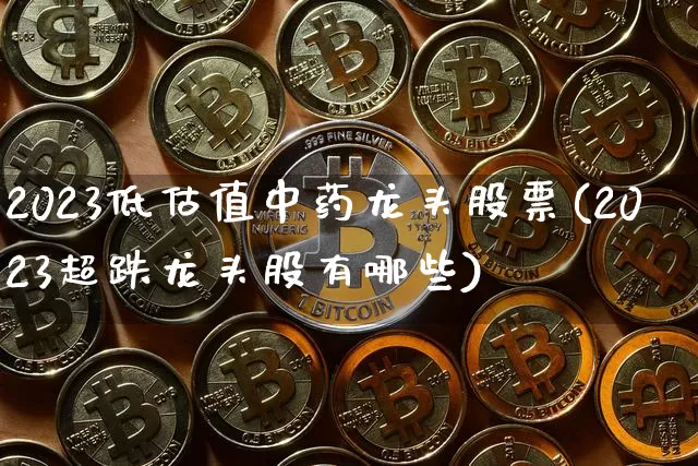 2023低估值中药龙头股票(2023超跌龙头股有哪些)_https://www.cangshenghg.com_财经新闻_第1张