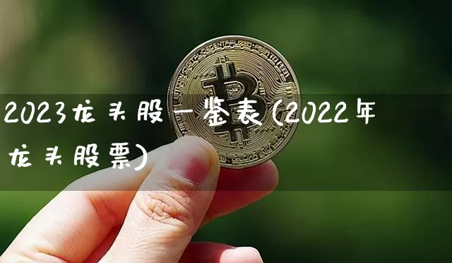 2023龙头股一鉴表(2022年龙头股票)_https://www.cangshenghg.com_A股_第1张