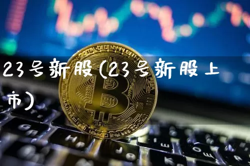 23号新股(23号新股上市)_https://www.cangshenghg.com_北交所_第1张