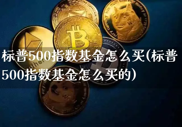 标普500指数基金怎么买(标普500指数基金怎么买的)_https://www.cangshenghg.com_北交所_第1张