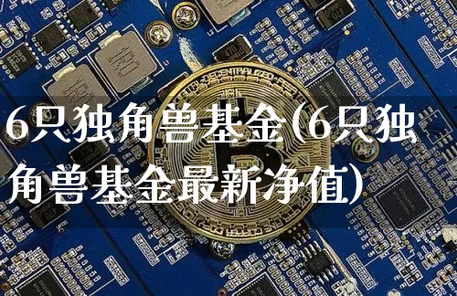 6只独角兽基金(6只独角兽基金最新净值)_https://www.cangshenghg.com_北交所_第1张