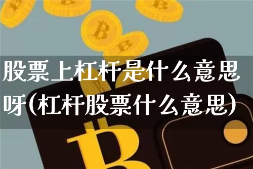 股票上杠杆是什么意思呀(杠杆股票什么意思)_https://www.cangshenghg.com_北交所_第1张