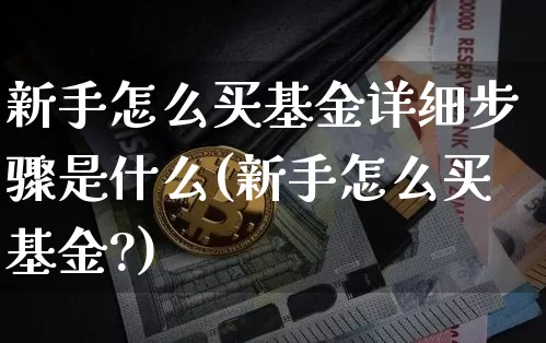 新手怎么买基金详细步骤是什么(新手怎么买基金?)_https://www.cangshenghg.com_北交所_第1张