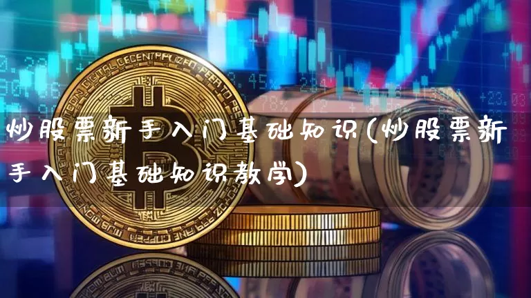 炒股票新手入门基础知识(炒股票新手入门基础知识教学)_https://www.cangshenghg.com_北交所_第1张