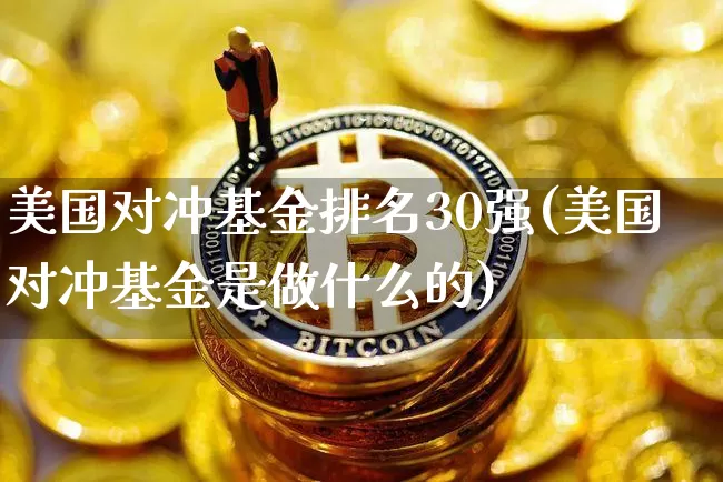 美国对冲基金排名30强(美国对冲基金是做什么的)_https://www.cangshenghg.com_科创板_第1张