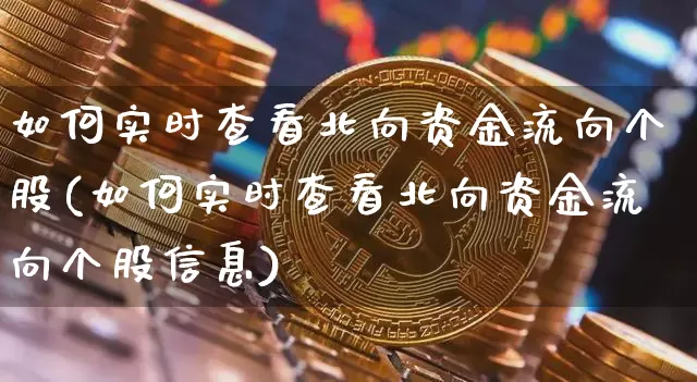 如何实时查看北向资金流向个股(如何实时查看北向资金流向个股信息)_https://www.cangshenghg.com_科创板_第1张