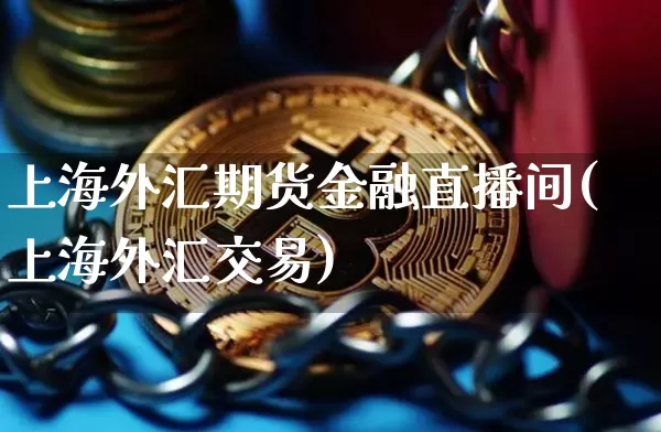 上海外汇期货金融直播间(上海外汇交易)_https://www.cangshenghg.com_A股_第1张