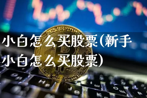 小白怎么买股票(新手小白怎么买股票)_https://www.cangshenghg.com_A股_第1张